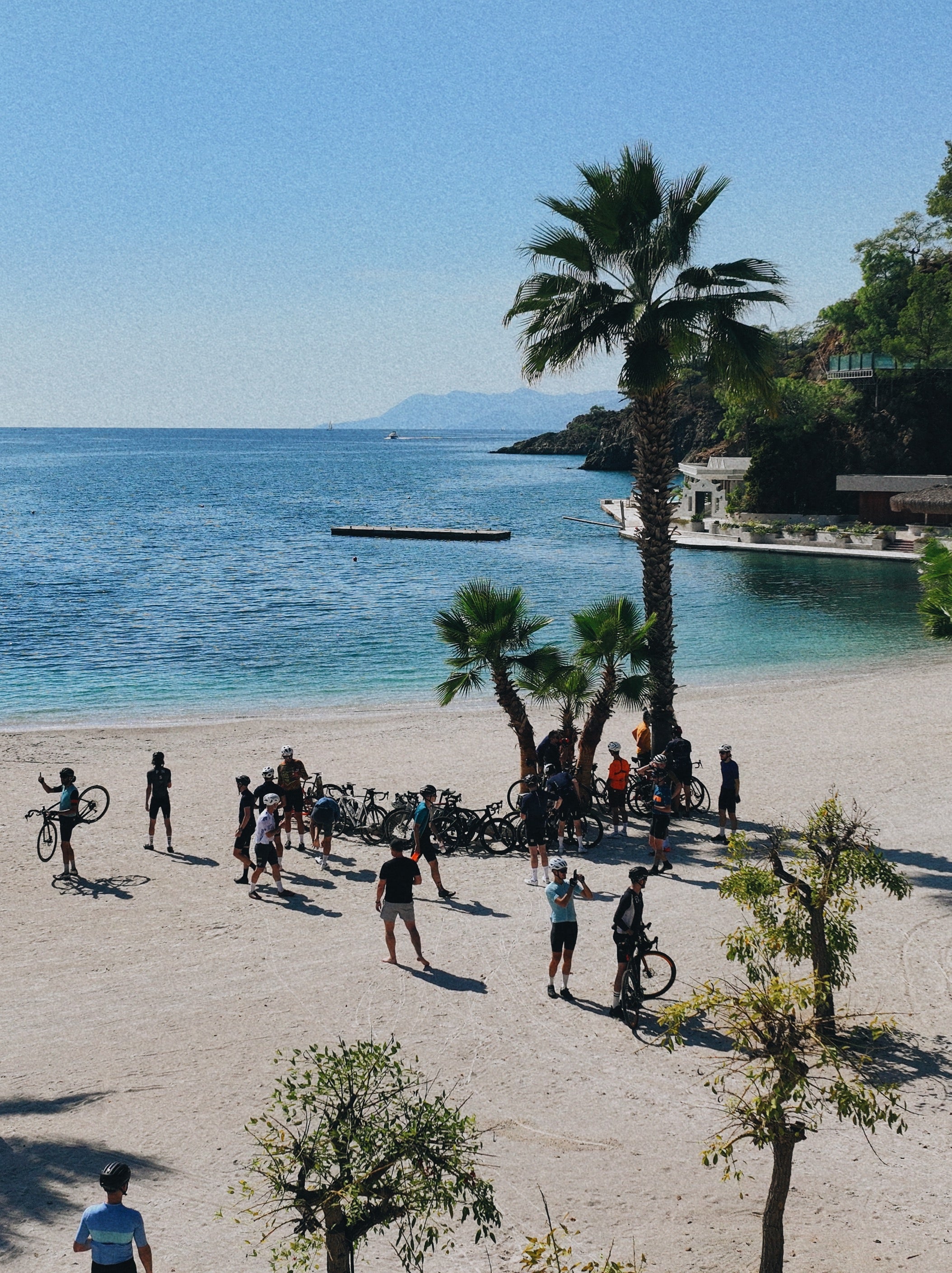 Bikes under the palms on a Lycian bay