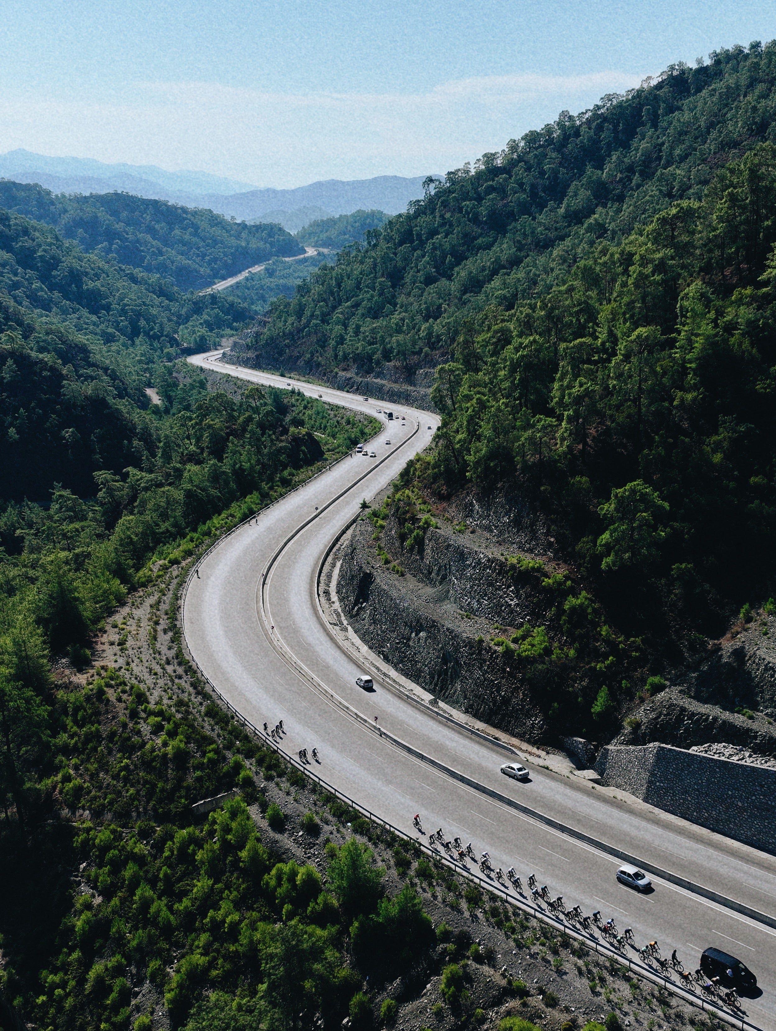 Peloton on a winding mountain road through pine forest